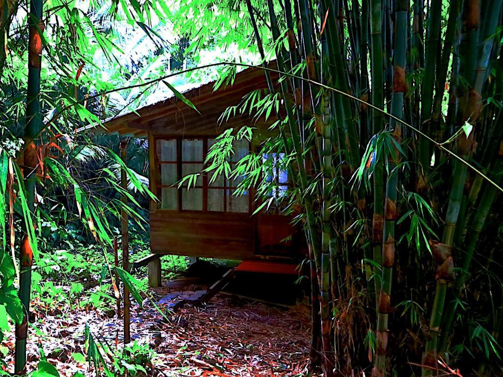 Huella Verde Rainforest Lodge Canelos Room photo